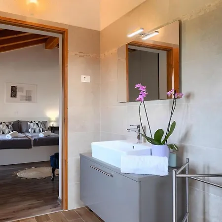 ヴィラ Family Casa Ida With Pool And Grill In Groznjan マルコフツィ