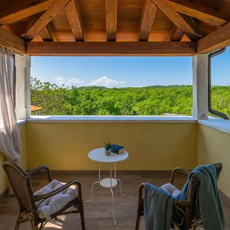 ヴィラ Family Casa Ida With Pool And Grill In Groznjan